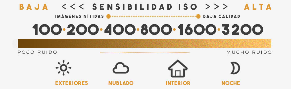 sensibilidad iso